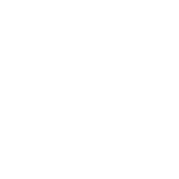 OutsiderIn Logo